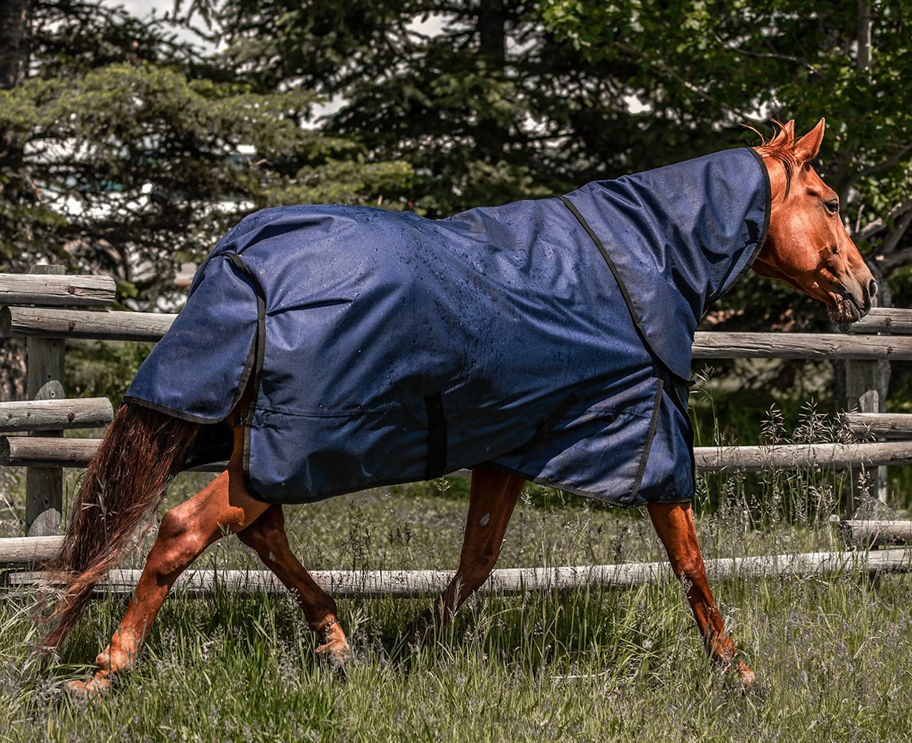 OG Rain Sheet