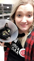 Sioux Falls Humane Society Volunteering Image