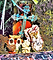 3.23 Let it Be Owls.JPG (2).png