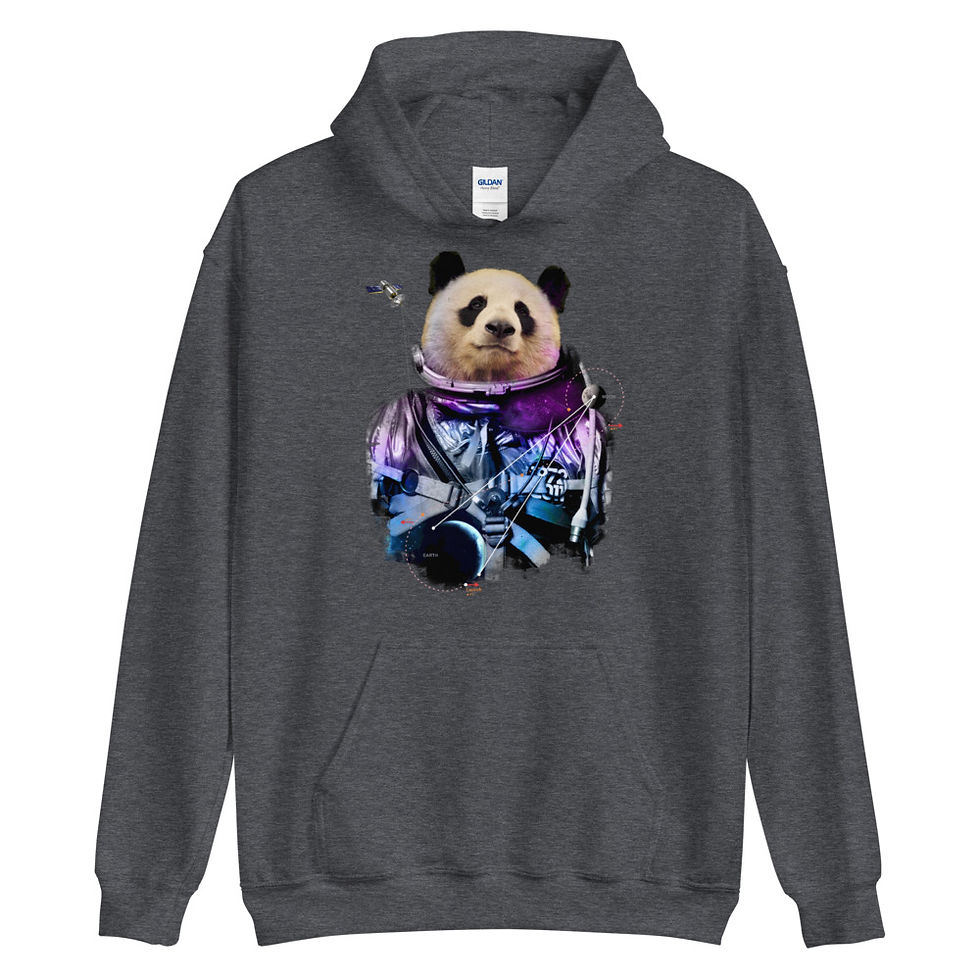 Thumbnail: Space-Panda-Astronaut-V3 Hoodie