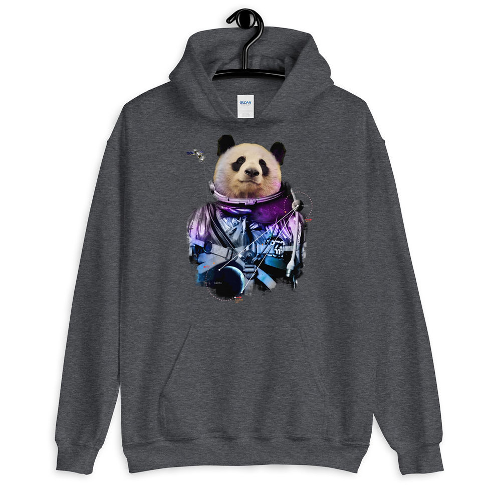 Thumbnail: Space-Panda-Astronaut-V3 Hoodie