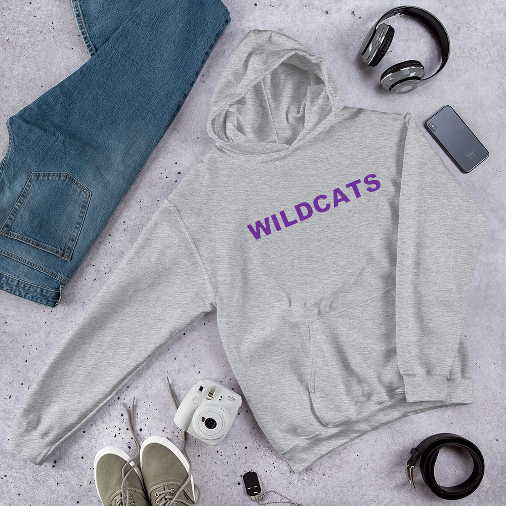 Northwestern Wildcats Graphic Print College Hoodie