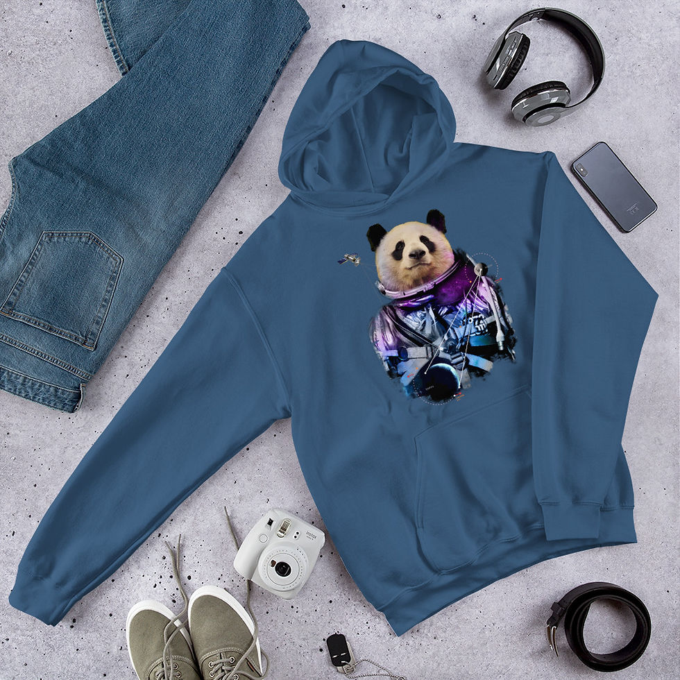 Thumbnail: Space-Panda-Astronaut-V3 Hoodie