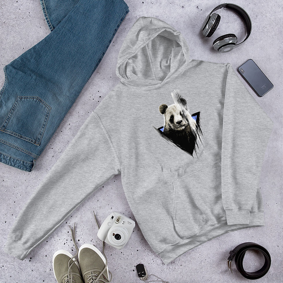 Thumbnail: The-faded-panda-paint Hoodie