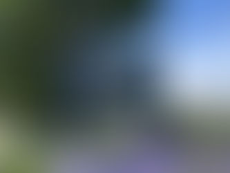 Our Favorite Local Adventures (Hidden Gems Near La Verne)