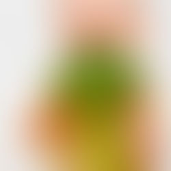 Qual a quantidade de alimentos que o bebê deve consumir diariamente?