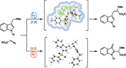 Catalyst-Controlled Regiodivergence in Rearrangements of Indole-Based Onium Ylides, by Volga Kojasoy