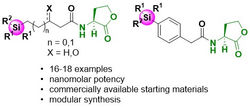 Synthesis and Evaluation of Silyl Amphiphilic Lactones for Control of Bacterial... by Linnea Dolph
