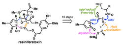 Total Synthesis of Resiniferatoxin, by Vasil H. Vasilev