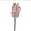 Thumbnail: Gisela Graham Antiqued Protea Stem - Beige/Tan