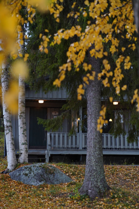 Cabins in autumn at Brändön Lodge