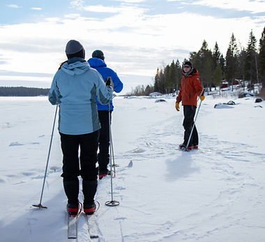 Fatbike tour, bike tour Luleå