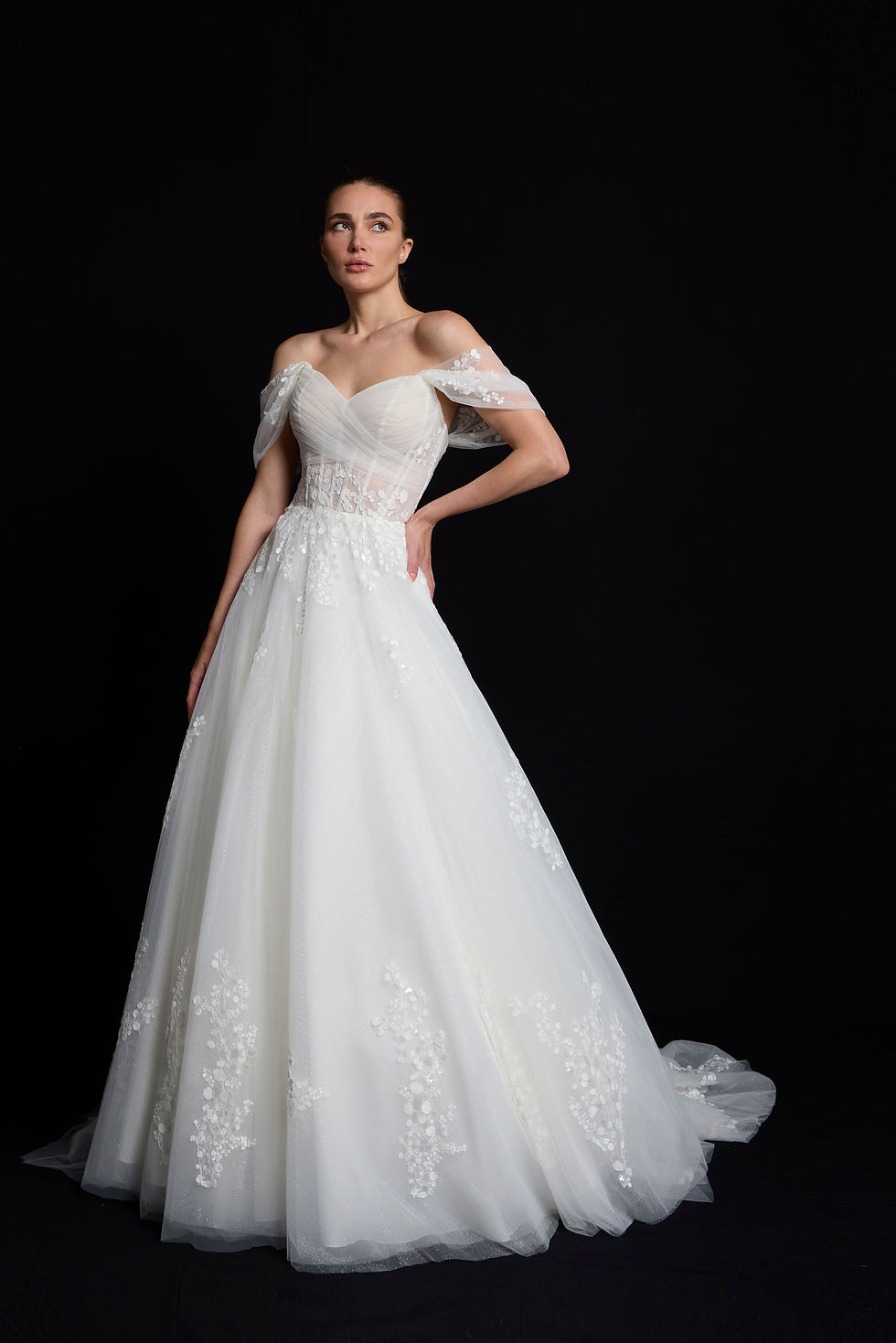 Thumbnail: WSS022-Ballgown Beaded Lace And Tulle Wedding Dress