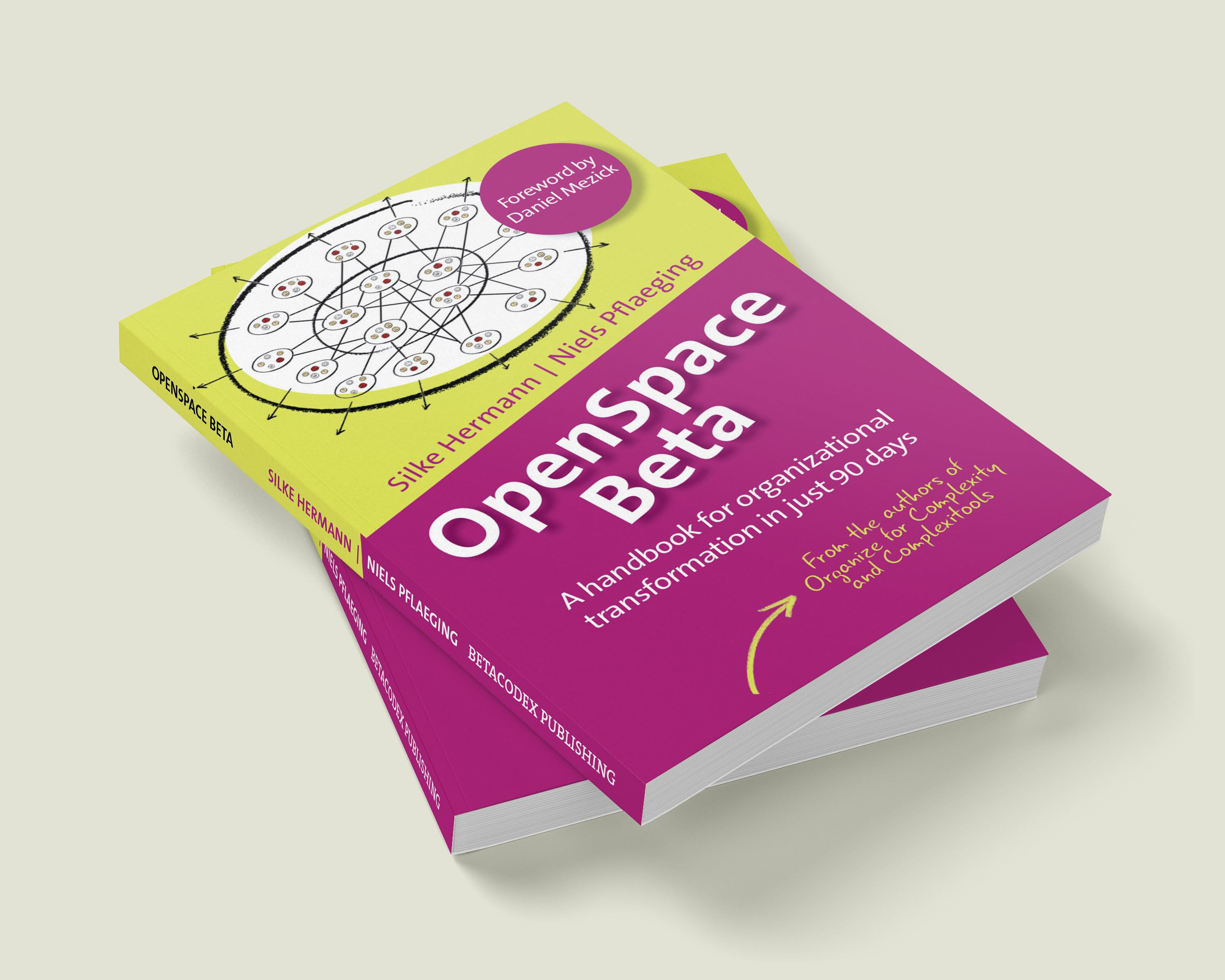 OpenSpace Beta Ebook