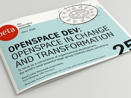 Silke and Niels share new "OpenSpace DEV" approach with the world