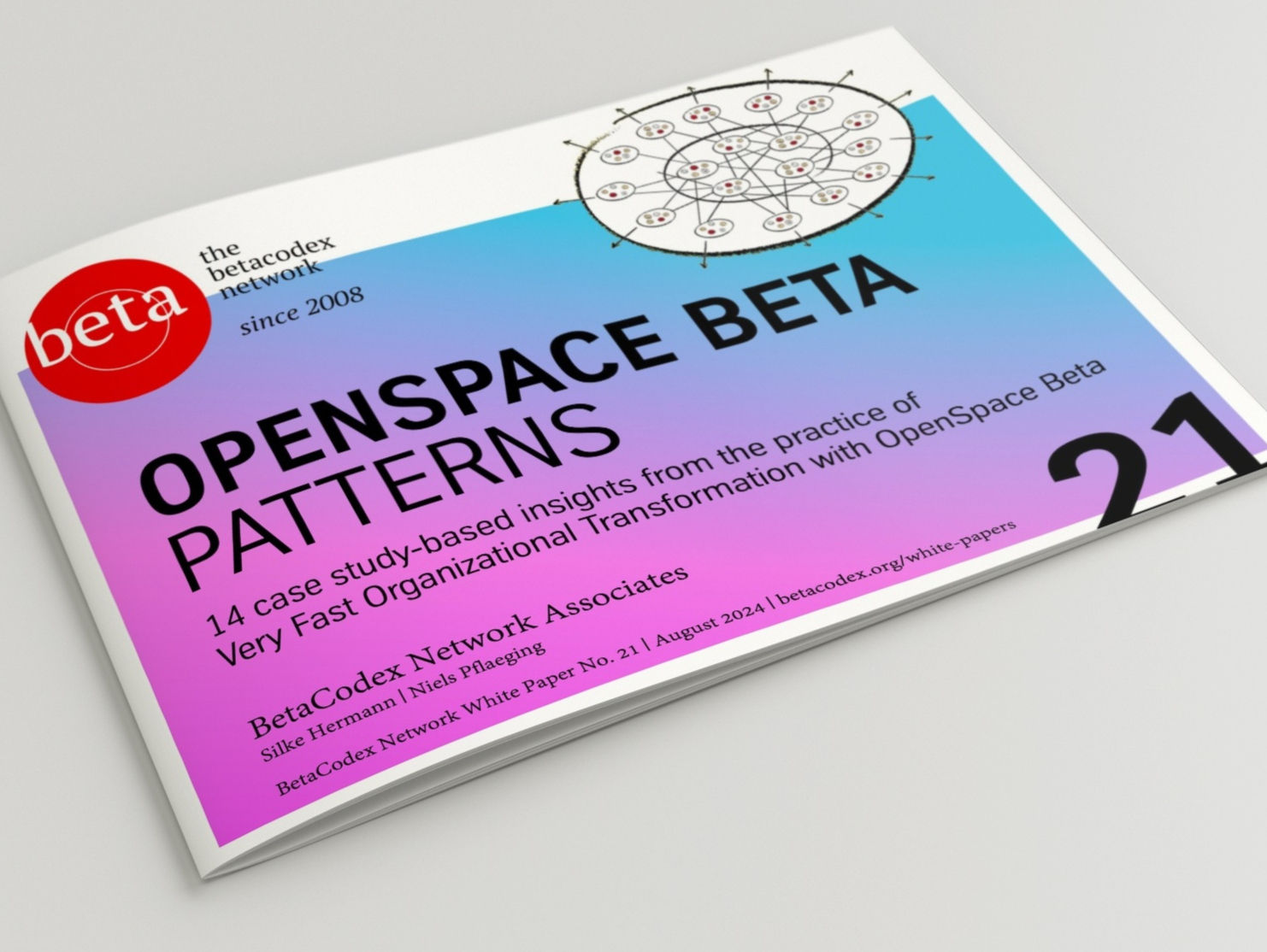 OpenSpace Beta Patterns