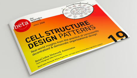 Cell Structure Design Patterns: A new BetaCodex research paper by Silke Hermann and Niels Pflaeging