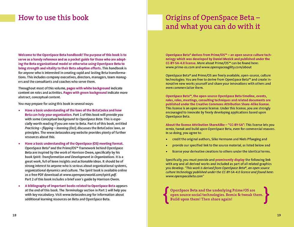 Thumbnail: OpenSpace Beta (3rd ed.)
