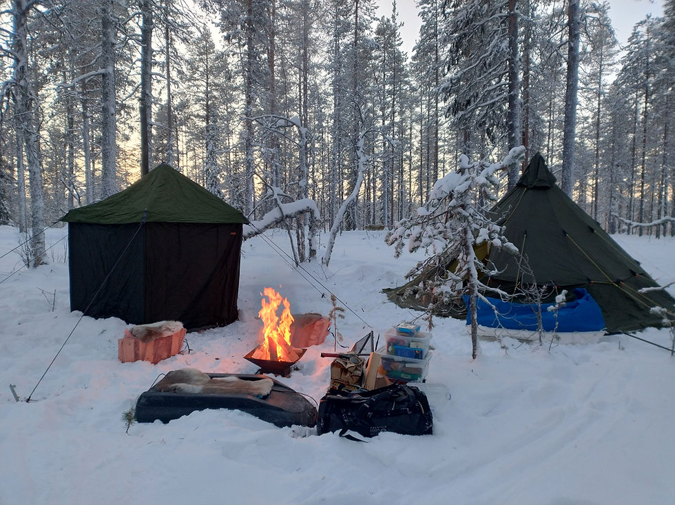 Wild Camping in Winter