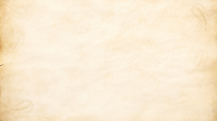 Parchment with Feathers.png