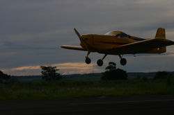 fotos aeroporto madeirao 019