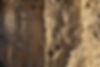 Wagram_3_haider_2015-48_h.jpg