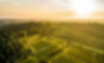 herbst-0519_edited.jpg