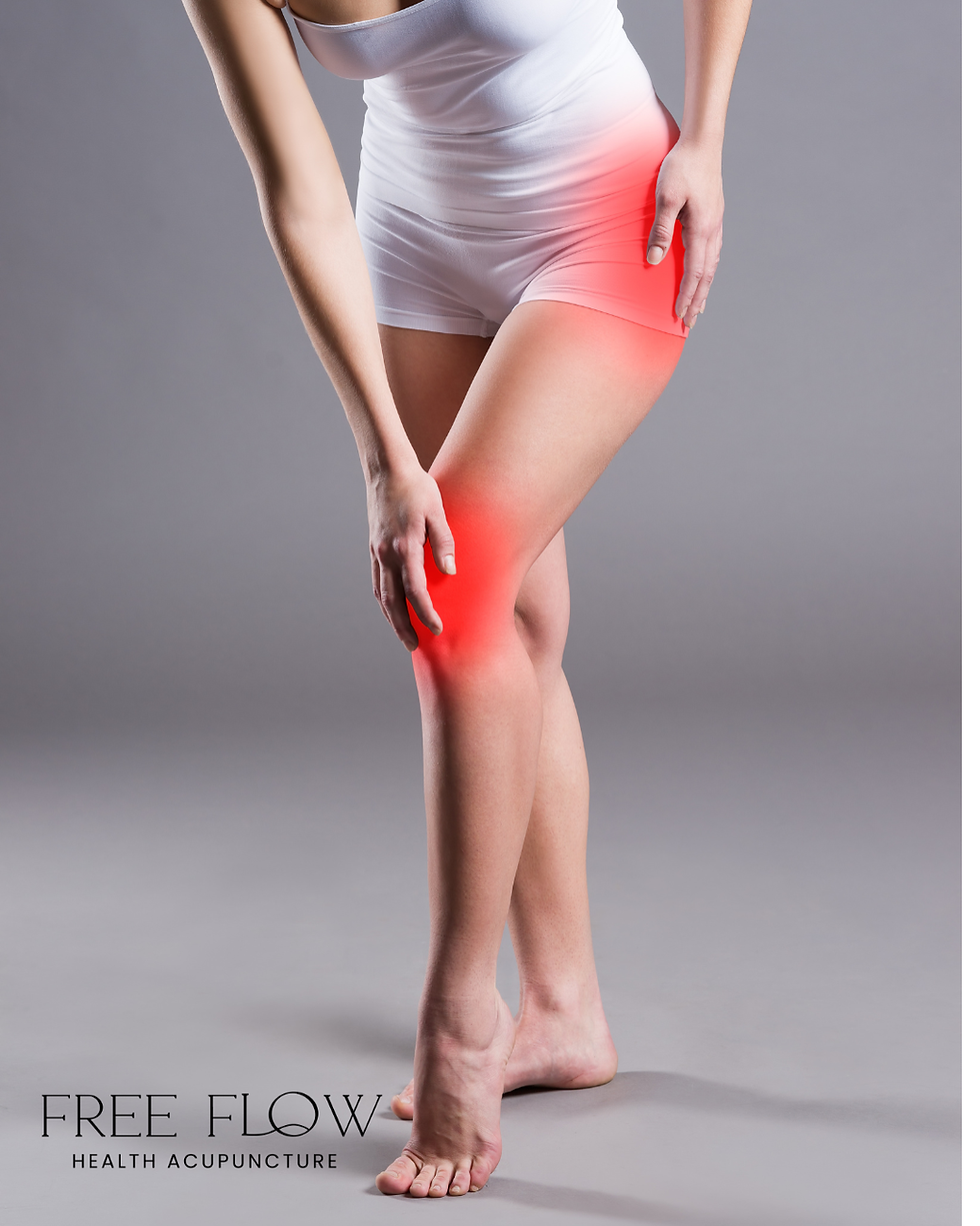 Understanding Inflammation in Chinese Medicine: Yin Deficiency, Dampness, and Stress Patterns in the Body