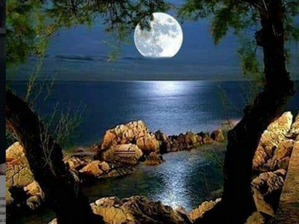 MICROCONTO - O usurpador, por ora vence.