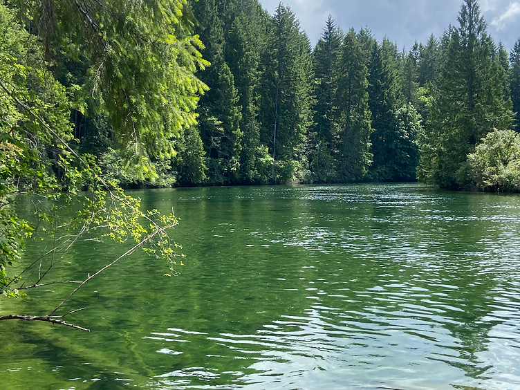Calm river in forest, background for inner healing and personal growth.