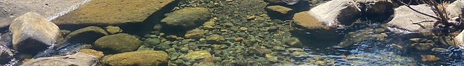 IMG_6072_edited.jpg
