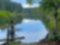 eaceful lake and forest, background for in-person energy healing sessions in Cumberland BC.