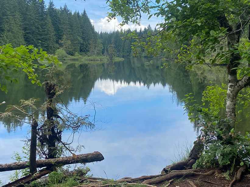 eaceful lake and forest, background for in-person energy healing sessions in Cumberland BC.