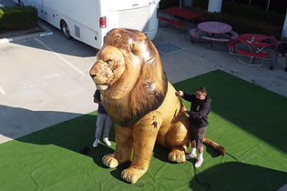 Giant inflatable lifelike lion.