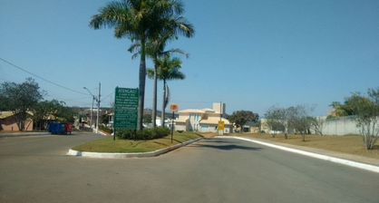 IMG Sonho Verde 04.png