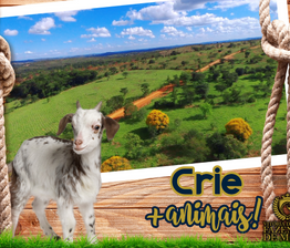 IMG - Fazenda de Minas 06.png