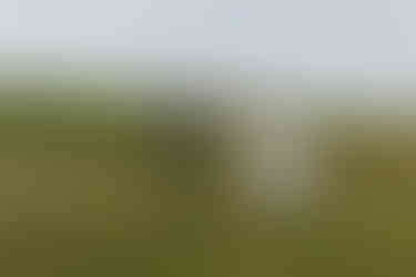 bride and groom running through the grassy field for a candid shot during their prewedding shoot