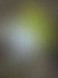 the vogue styled green bouquet laying on the rock