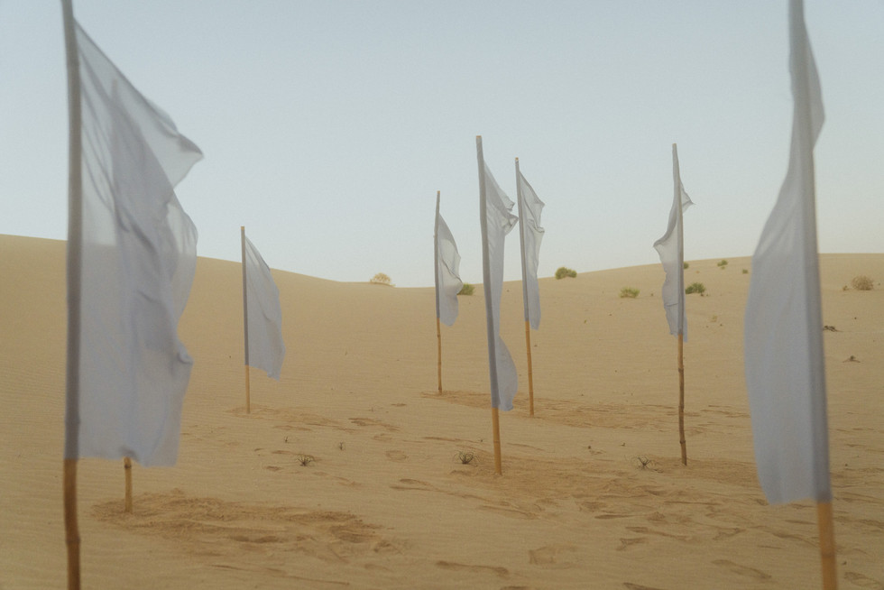 the romantic pastel blue flag setting in the sand dune