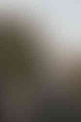 Joyful bride and groom walk hand in hand during their intimate desert ceremony, raising their arms in celebration as guests applaud under golden hour light.