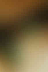 a flat-lay shot the bride's unique wedding Dolce & Gabanna heels