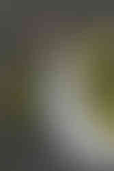 groom and bride lean in smiling, framed by vibrant yellow floral arrangements and textured walls.