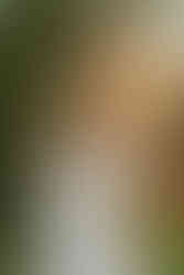 close-up backlit portrait of the bride looking far away