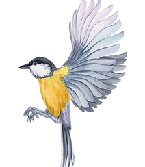 Watercolor illustration of a small bird in flight with yellow chest and grey wings, representing nature and learning at Treeh