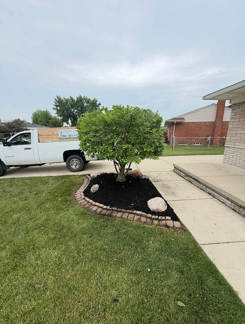 Mulch installation around tree ring in Sterling Heights, MI