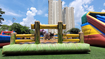 Aluguel de Touro Mecânico e Giro Radical para locação em Residência e Condomínio em São Paulo, Barueri e Alphaville... Ideal para festa junina e festas temáticas.