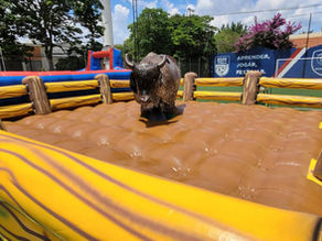 Aluguel de Touro Mecânico para eventos
