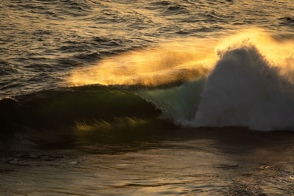 Golden light illuminates a crashing ocean wave during sunset