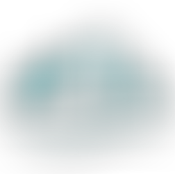 Opening periods, times and reservations.