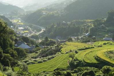 はじめまして、丸菱です